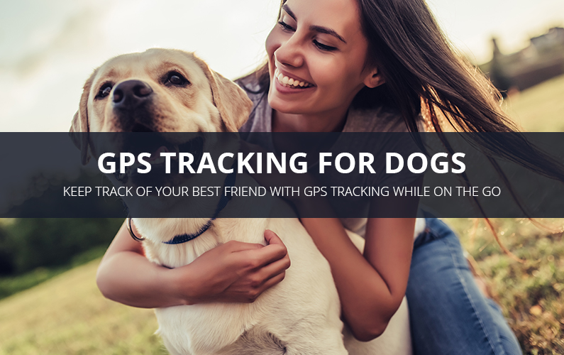 GPS Tracking For Dogs - Find Your Pet | GPS LEADERS