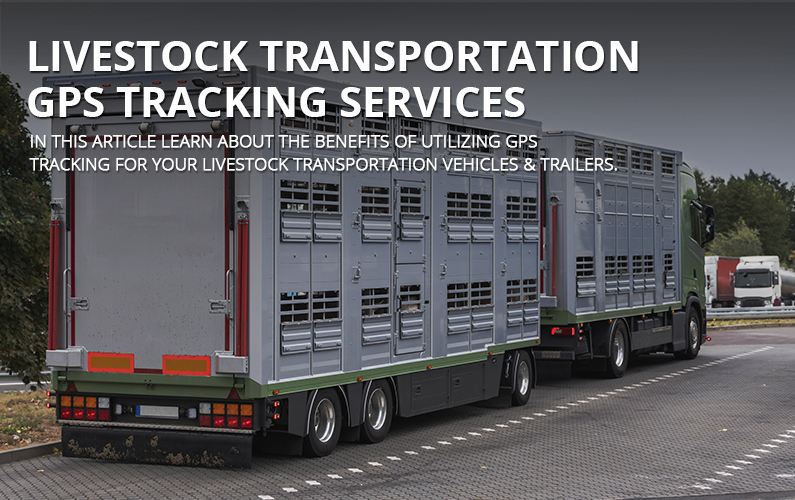 Livestock Transportation GPS Tracking Services | GPS LEADERS
